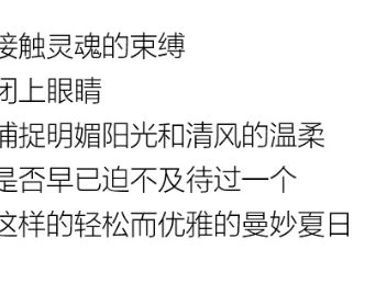 YF | 夏 你好，盛夏隨心型走